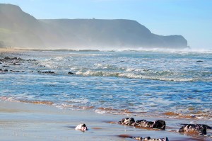 costa vicentina portugal algarve vakantie 2