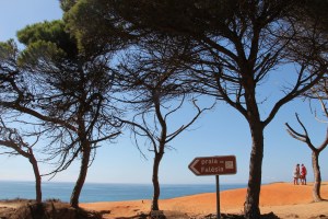 falesia beach vakantie algarve portugal IMG_8033