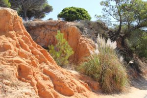 falesia beach vakantie algarve portugal IMG_8042