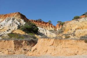 falesia beach vakantie algarve portugal IMG_8089