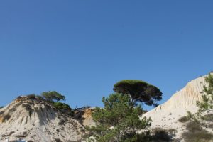 falesia beach vakantie algarve portugal IMG_8095