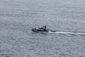 grotten tour bij portimao - vakantie algarve portugal IMG_8818