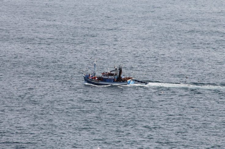 grotten tour bij portimao - vakantie algarve portugal IMG_8818