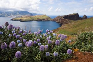 madeira vakantie portugal 559