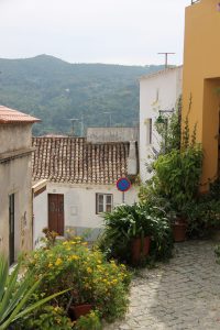 monchique algarve - vakantie algarve IMG_8462