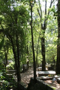 monchique algarve - vakantie algarve IMG_8504