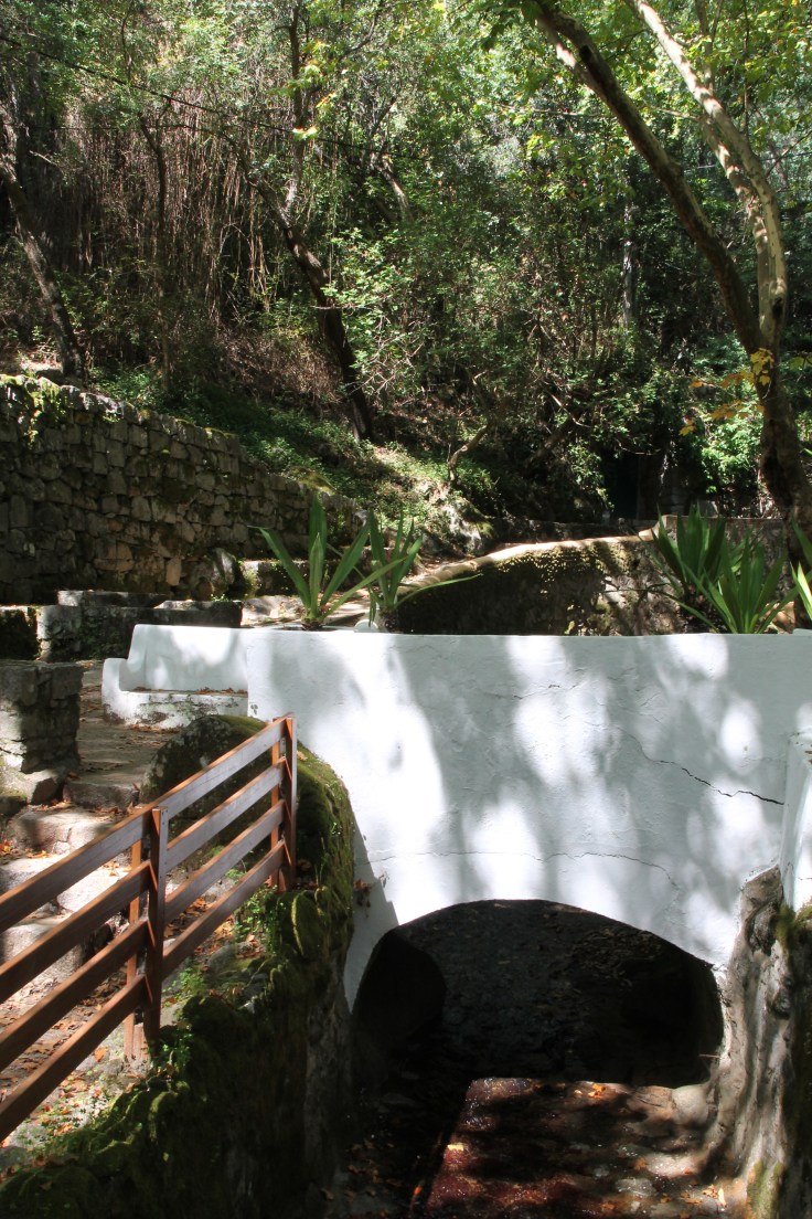 monchique algarve - vakantie algarve IMG_8505