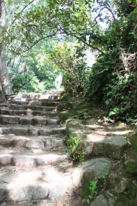 monchique algarve - vakantie algarve IMG_8513