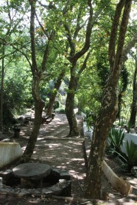 monchique algarve - vakantie algarve IMG_8518