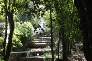 monchique algarve - vakantie algarve IMG_8532