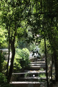 monchique algarve - vakantie algarve IMG_8534