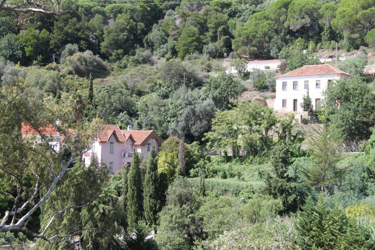 monchique algarve - vakantie algarve IMG_8550