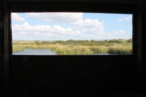 regio albufeira - verblijf in quinta do mel bed and breakfast nabij olhos d'agua en villamoura IMG_8190