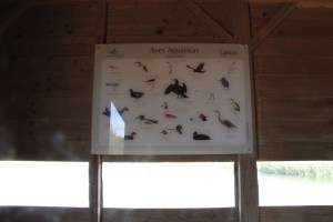 regio albufeira - verblijf in quinta do mel bed and breakfast nabij olhos d'agua en villamoura IMG_8193