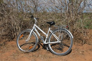 regio albufeira - verblijf in quinta do mel bed and breakfast nabij olhos d'agua en villamoura IMG_8204