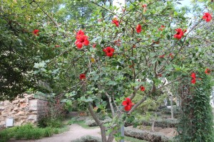 Tavira - algarve vakantie portugal IMG_7892