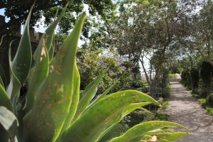 Tavira - algarve vakantie portugal IMG_7907