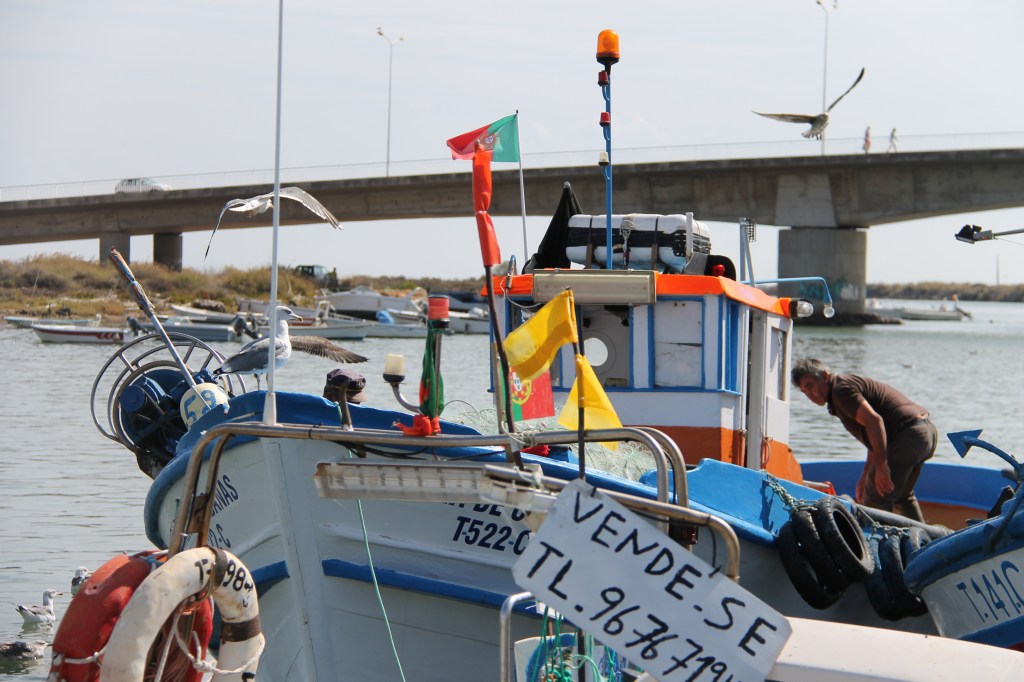 Tavira - algarve vakantie portugal IMG_7919