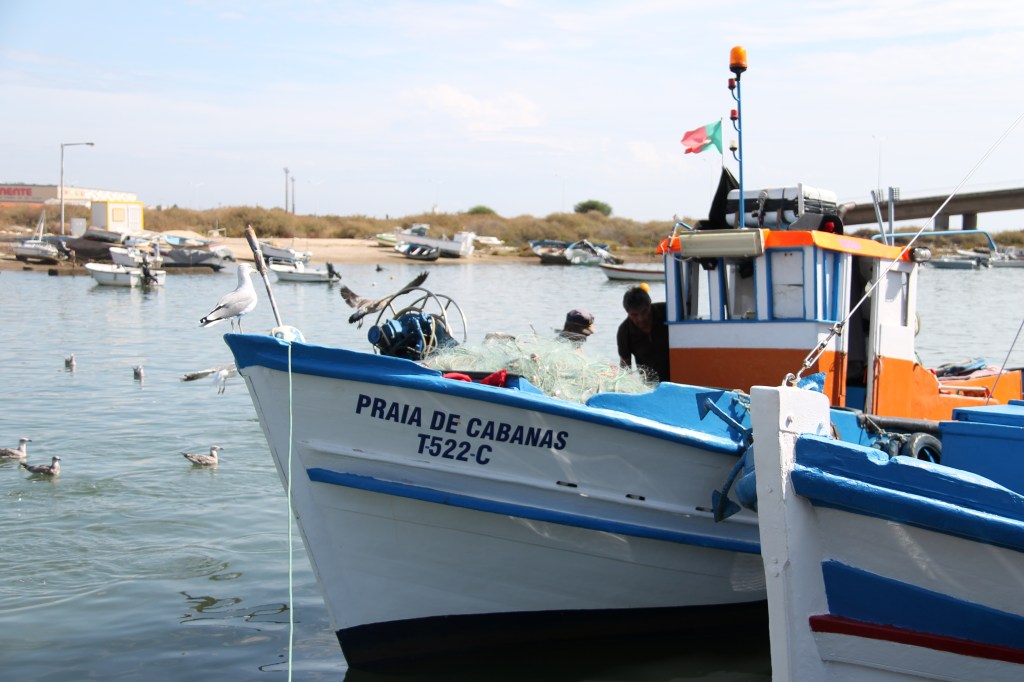 Tavira - algarve vakantie portugal IMG_7920