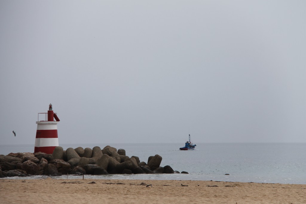 Tavira - algarve vakantie portugal IMG_7976