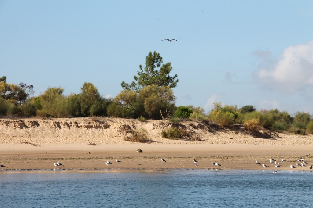 Tavira - algarve vakantie portugal IMG_7990