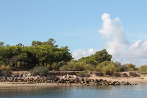 Tavira - algarve vakantie portugal IMG_7993