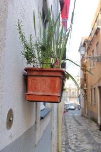 vakantie stedentrip - Lissabon Portugal IMG_6078