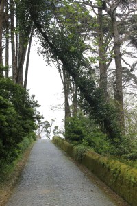 Sintra vakantie stedentrip - Lissabon Portugal IMG_6339