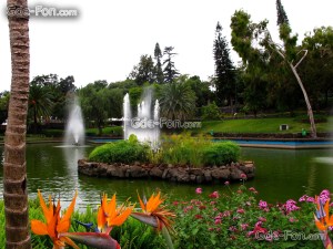 Portugal_madeira_Funchal_Botanical-garden- vakantie portugal