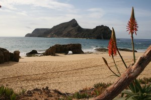 Madeira Porto Santo Calheta strand
