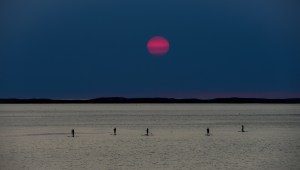 stand-up-paddle-suppen op vakantie in portugal 22